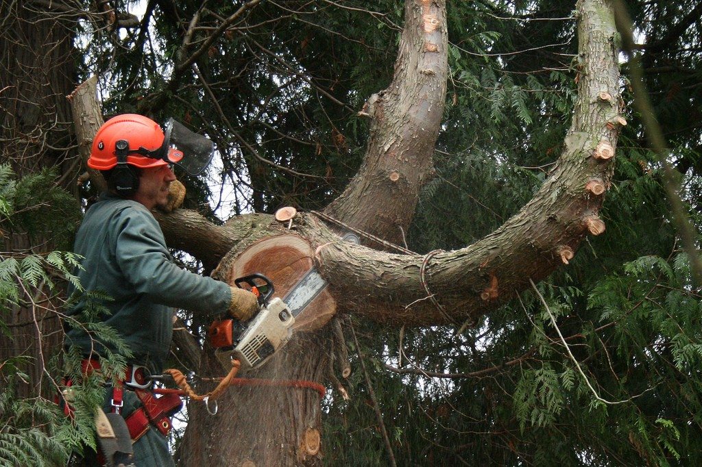15 Most Dangerous But Well Paying Jobs in the World