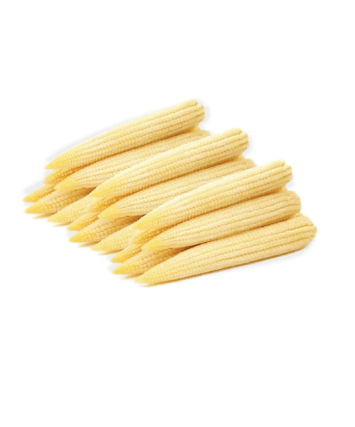 IQF Baby corn Antesco