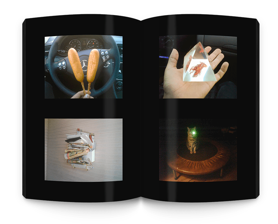 jerryhsubeautifulflowerworldbookspread Anthology