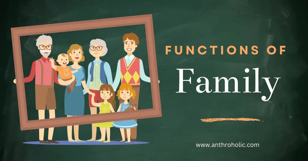Functions of a Family in Anthropology & Sociology Anthroholic