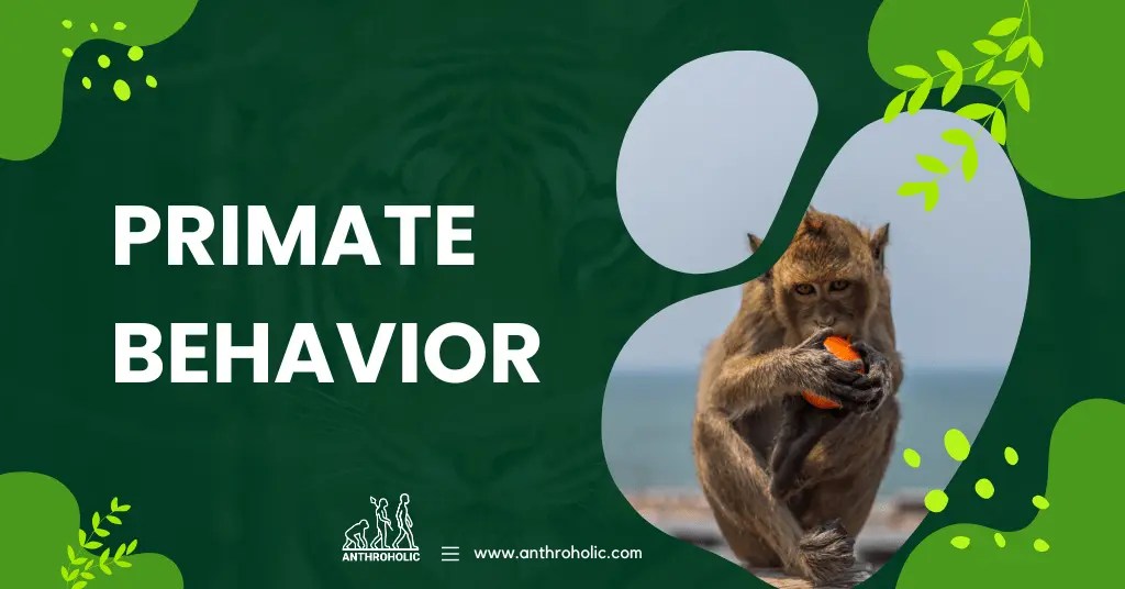 Primate Behaviour in Anthropology Anthroholic
