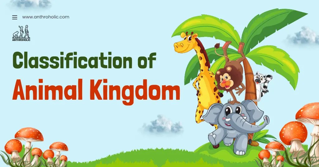 Classification of Animal Kingdom Anthroholic