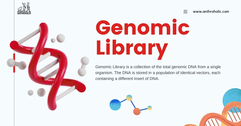 What is Genomic Library? Anthroholic