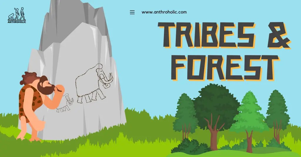 Relationship between Tribes and Forest Anthroholic