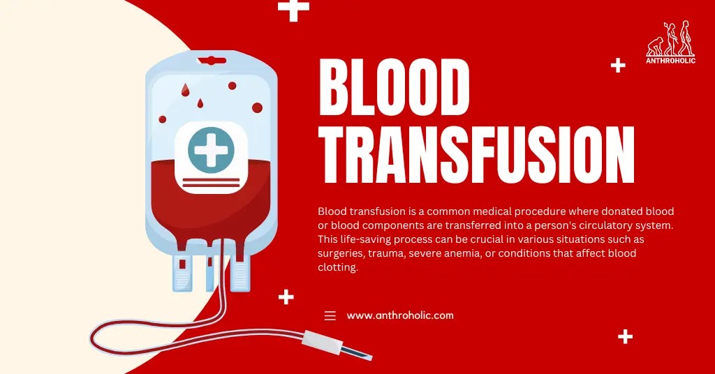 What is Blood Transfusion? Anthroholic