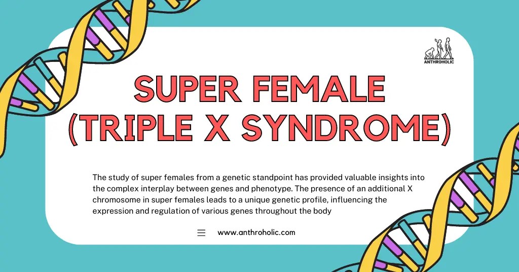 Super Female (Triple X Syndrome) Anthroholic