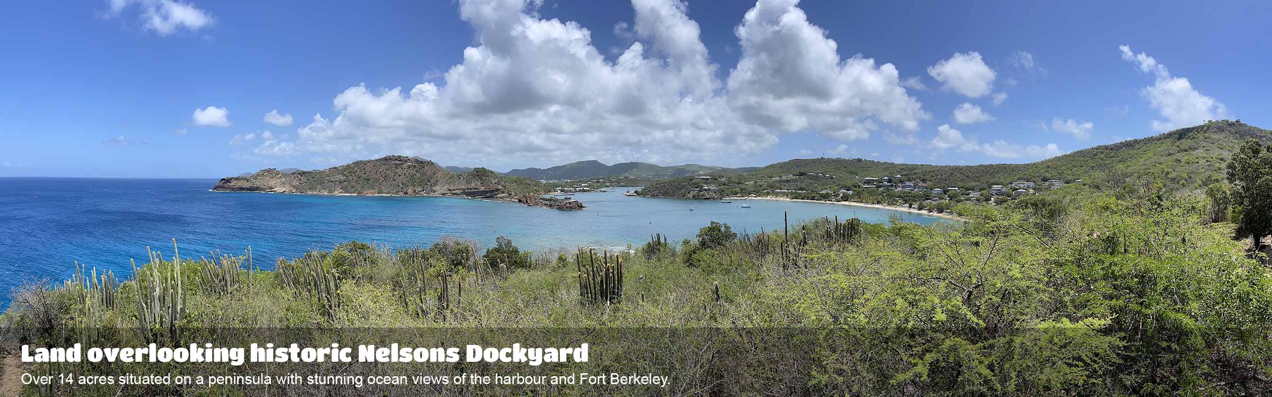 Trevor "Teddy" Santos Licensed Auctioneer