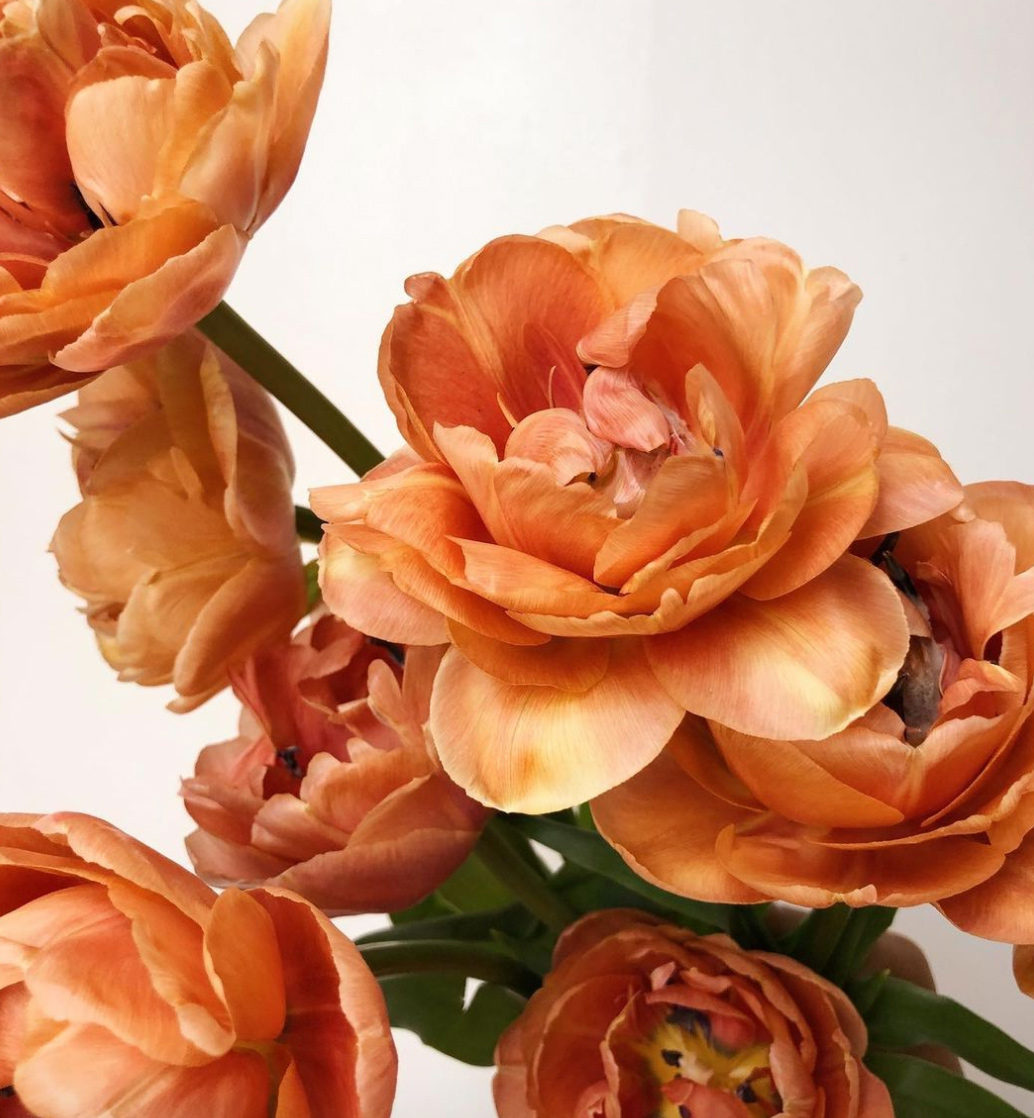 Antigua Floral Artful Floral Design for Weddings, Events and