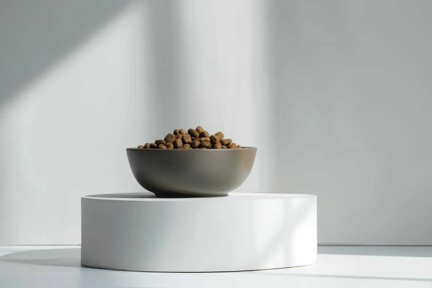 Why Raised Dog Food Bowls Are Great for Large and Senior Dogs Antinol