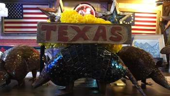 Permalink to: Armadillos anyone? Permalink to: Armadillos anyone?