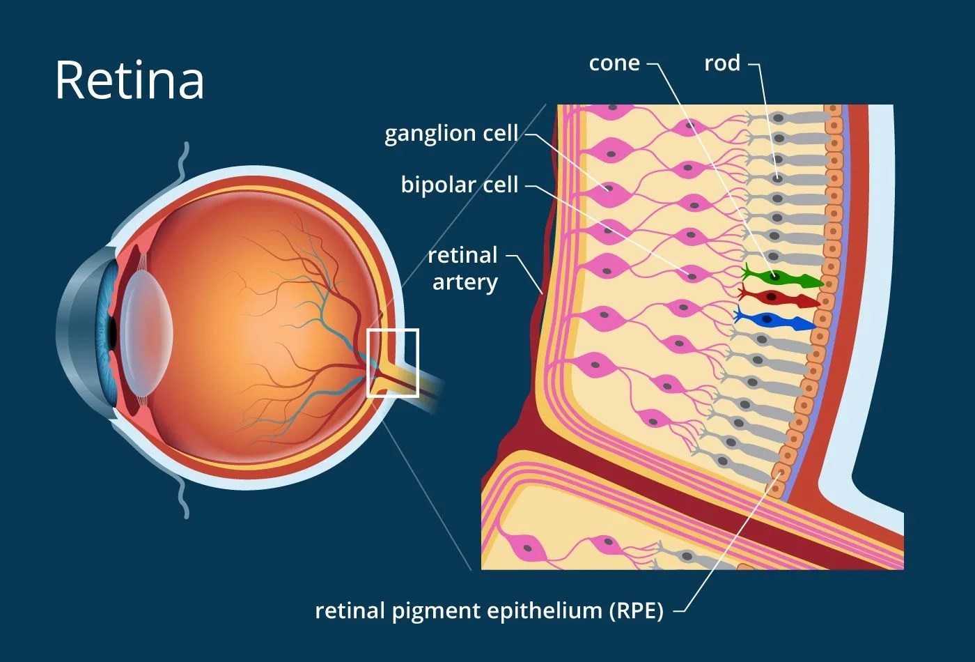 Retina recognition solutions — Antispoofing Wiki