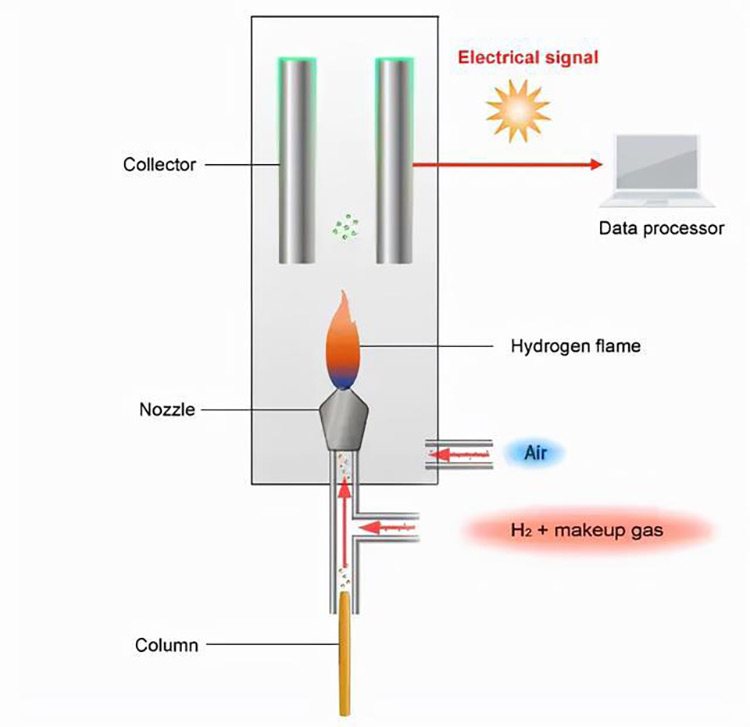 Gas Chromatography Detector GC Fid / GC Detectors ANTITECK