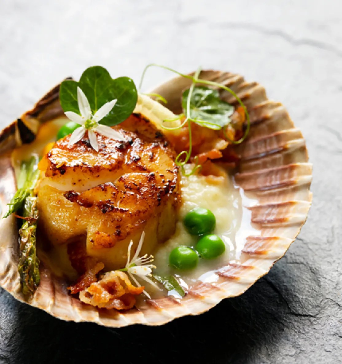 Coquilles St Jacques Chef Antoine Lours