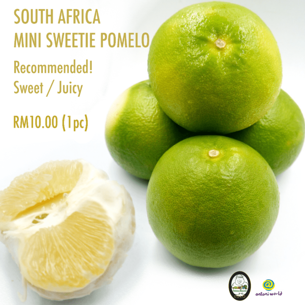 South Africa Mini Sweetie Pomelo Antoni World