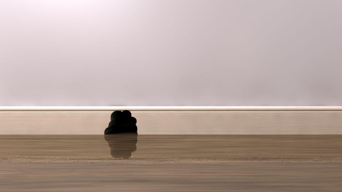 Best Pest Control Joliet IL A.N.T. Pest Control