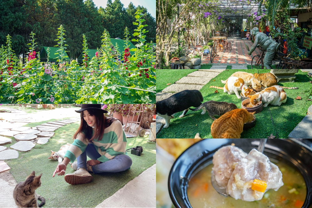 田中蜀葵花海藝術節 | 擼貓貓、鄉村情懷紅磚房、蜀葵花海、手拉胚、窯烤麵包，一起來拍照打卡