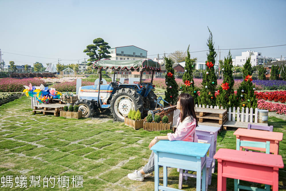董家花田 | 田尾景點，摩艾石像超好拍，野餐、花田、草皮，田尾清新感景點。