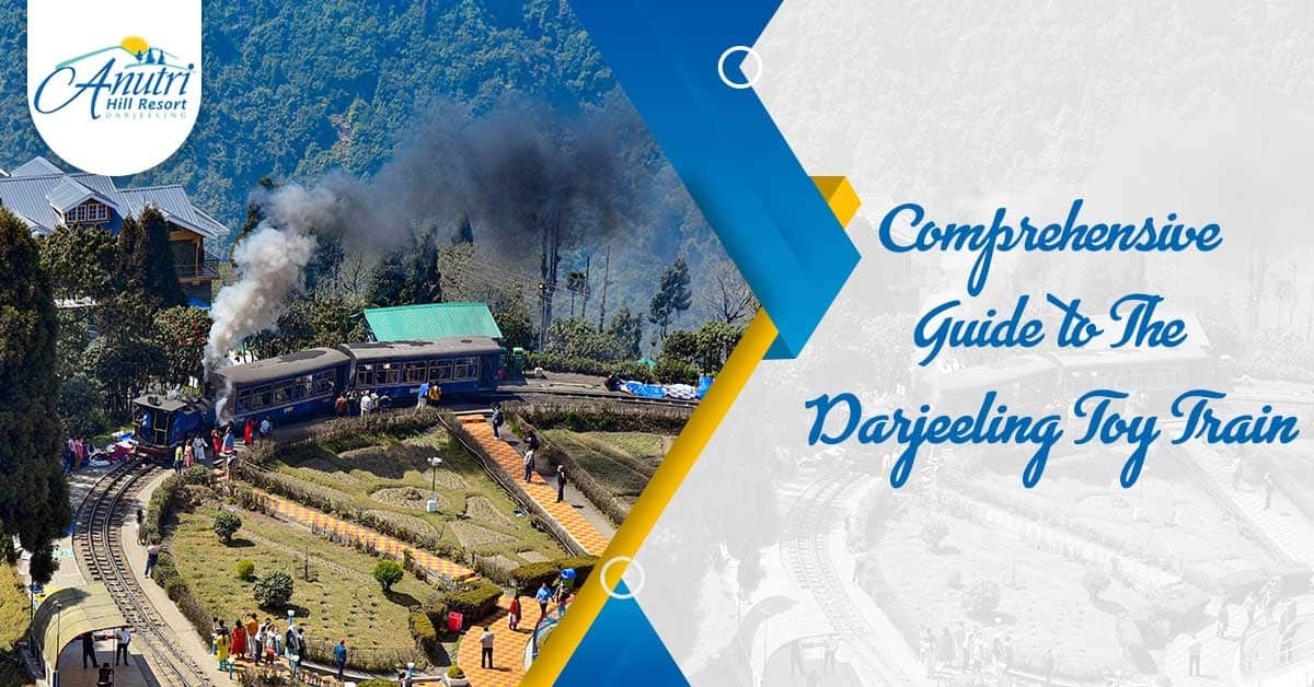 Comprehensive Guide to The Darjeeling Toy Train Anutri Hill Resort