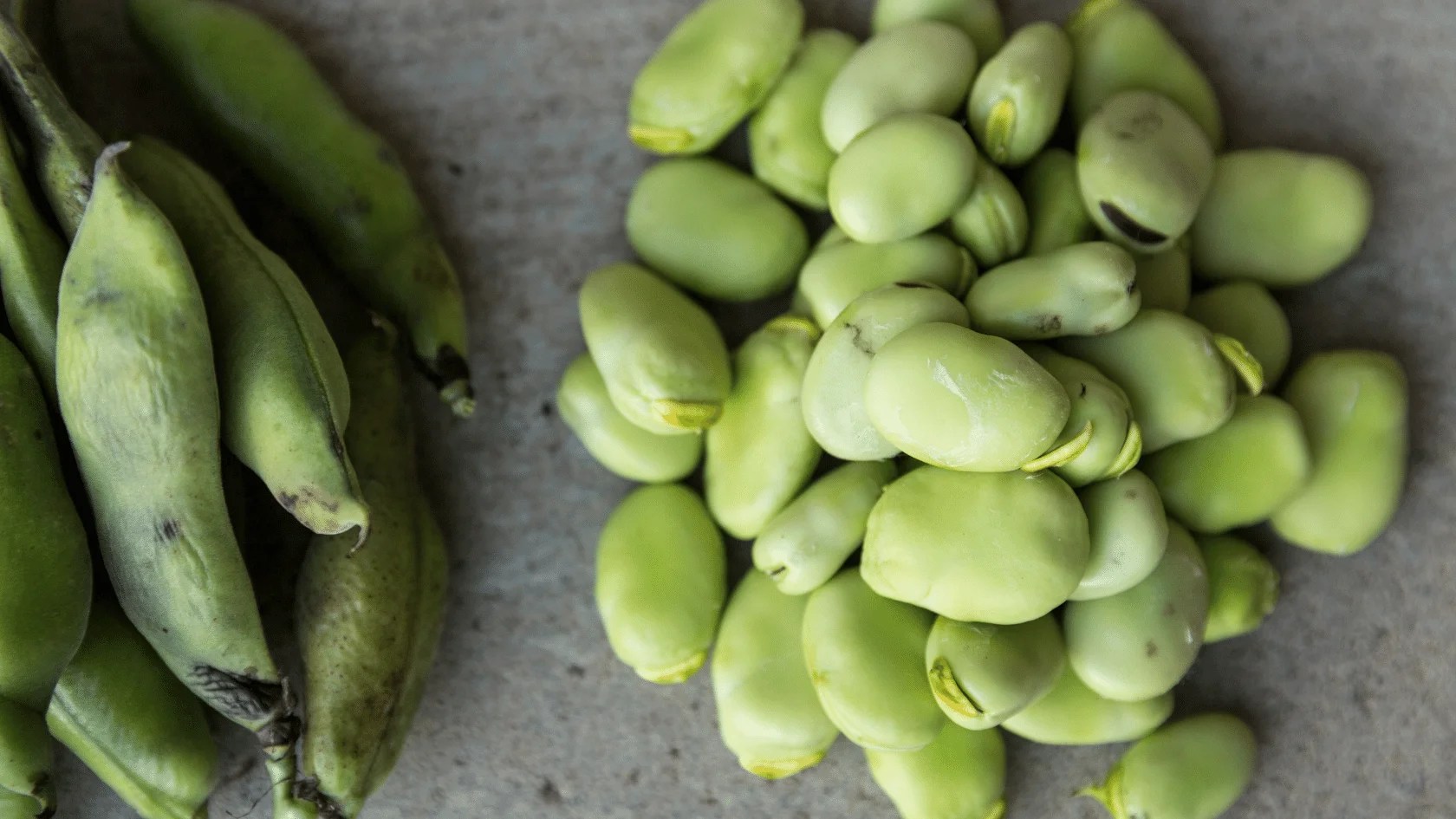 fordhook Lima Beans Dynamic NutrientRich Diet »
