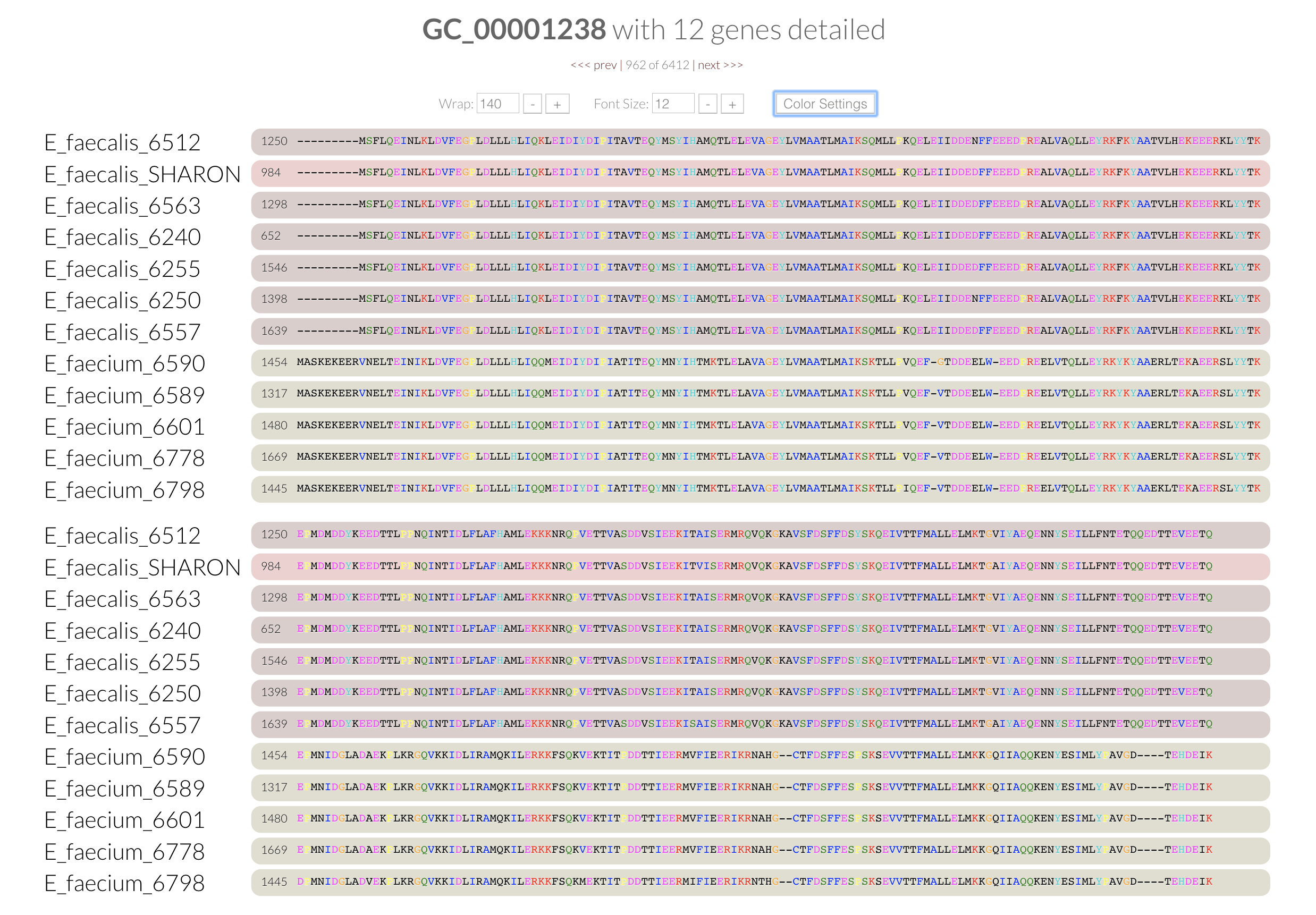 concatenatedgenealignmentfasta [artifact]