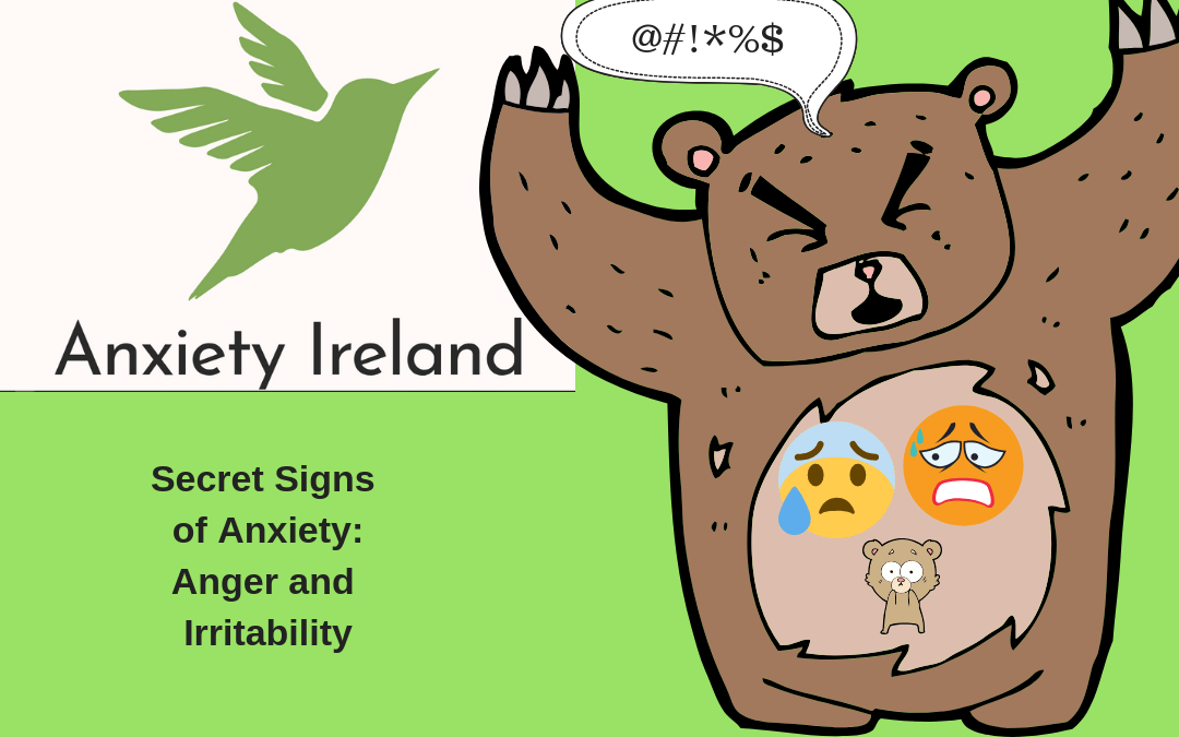 Secret Signs of Anxiety Part 12 Anger and Irritability Anxiety Ireland