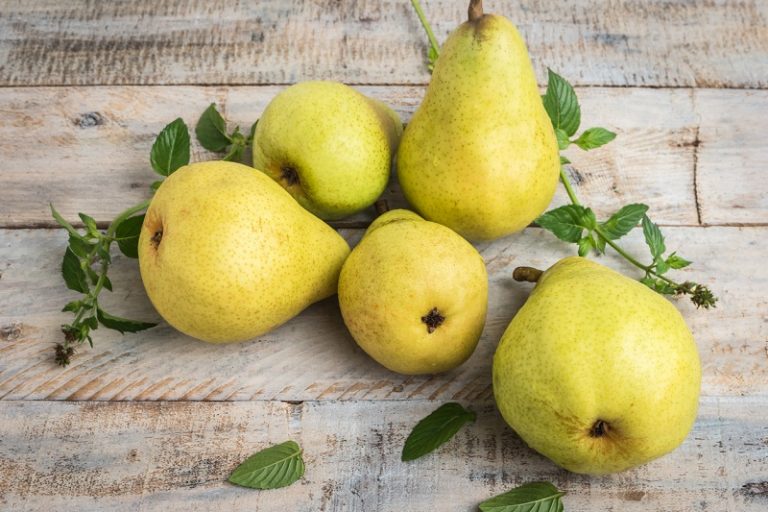How to store pears Anxiety Reduction