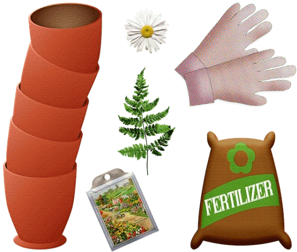 Things That Are Poisonous to Dogs What Every Pet Owner Should Know