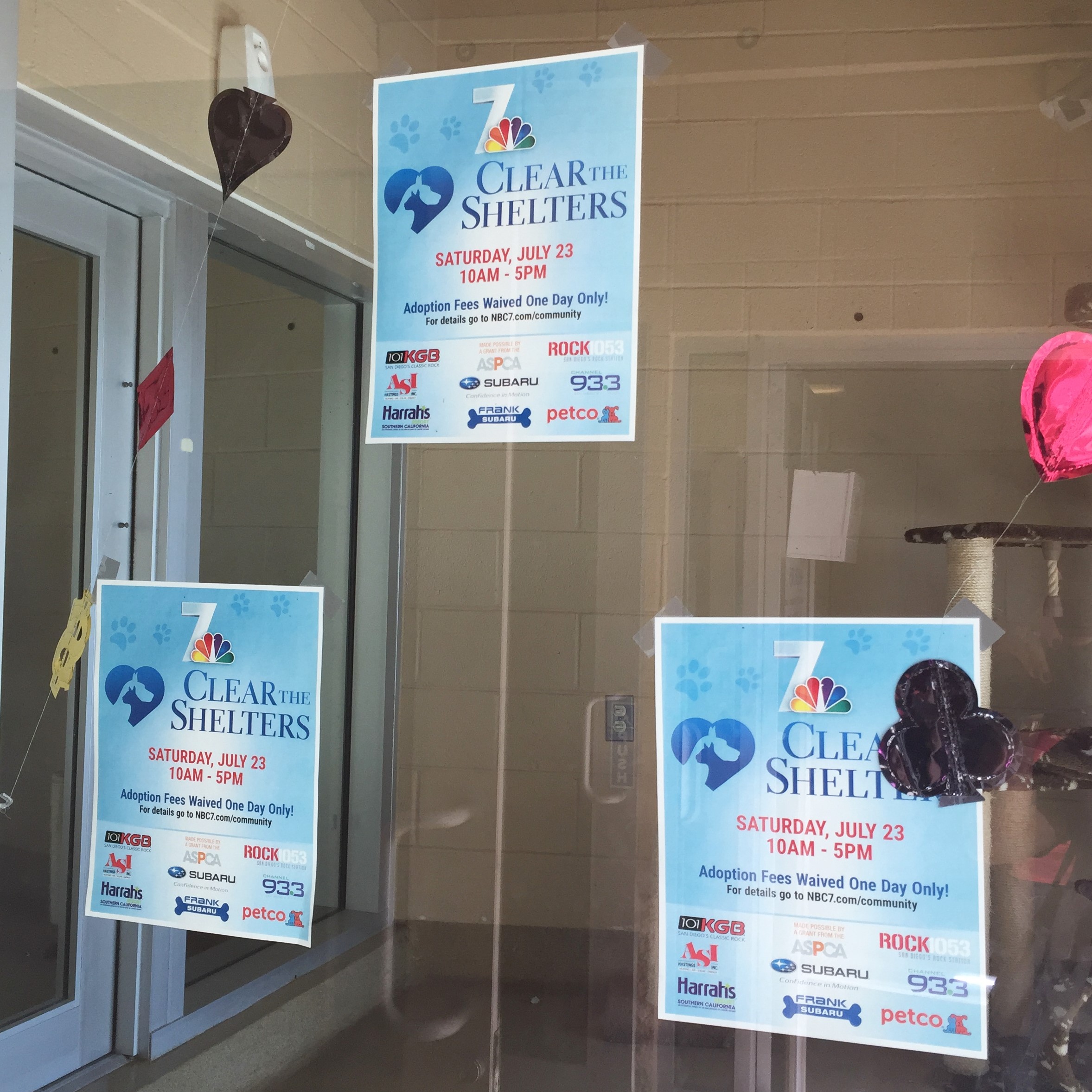 Adopt a Pet Any Second Now