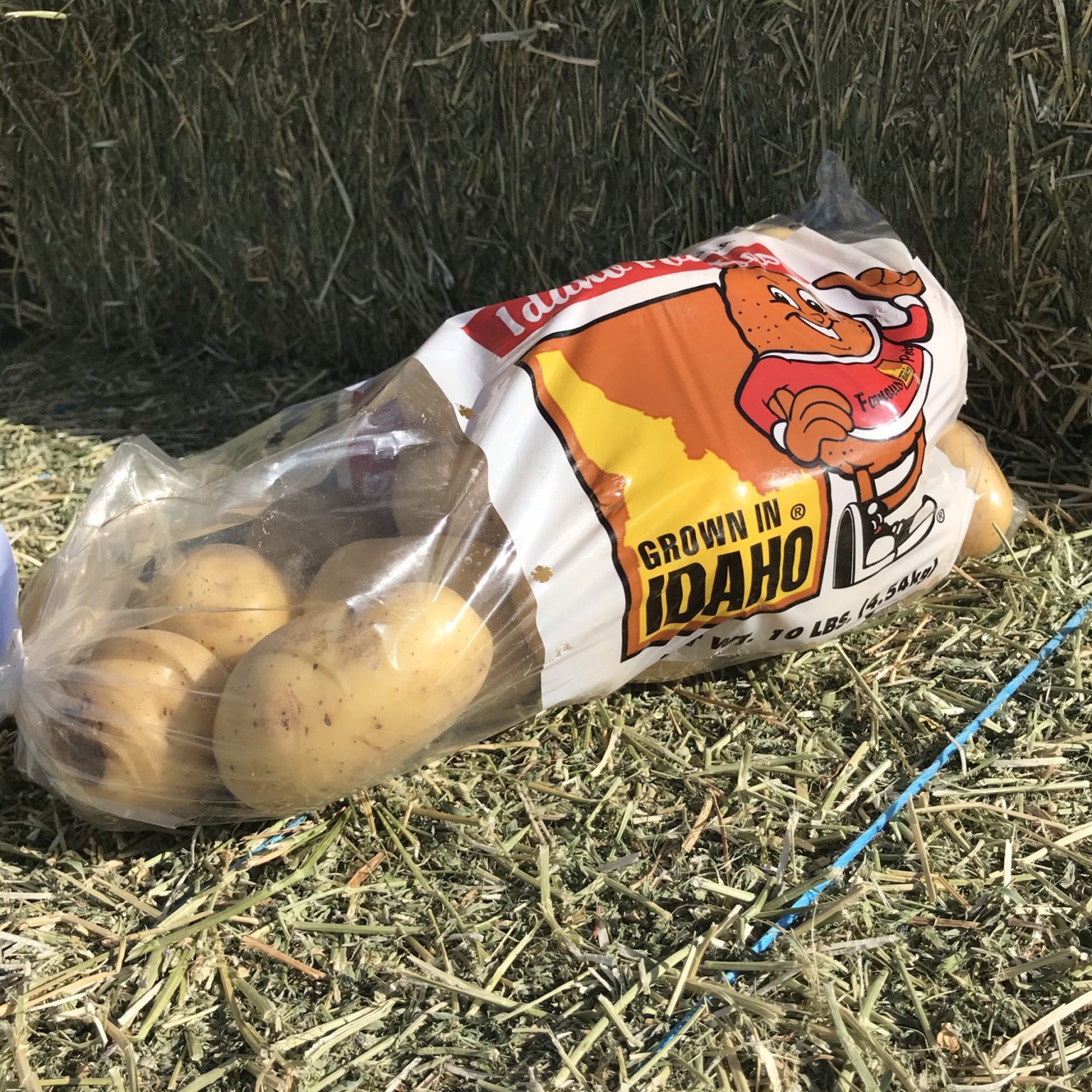 Creating a Low Sodium Recipe with Spud Buds Potatoes! Any Second Now