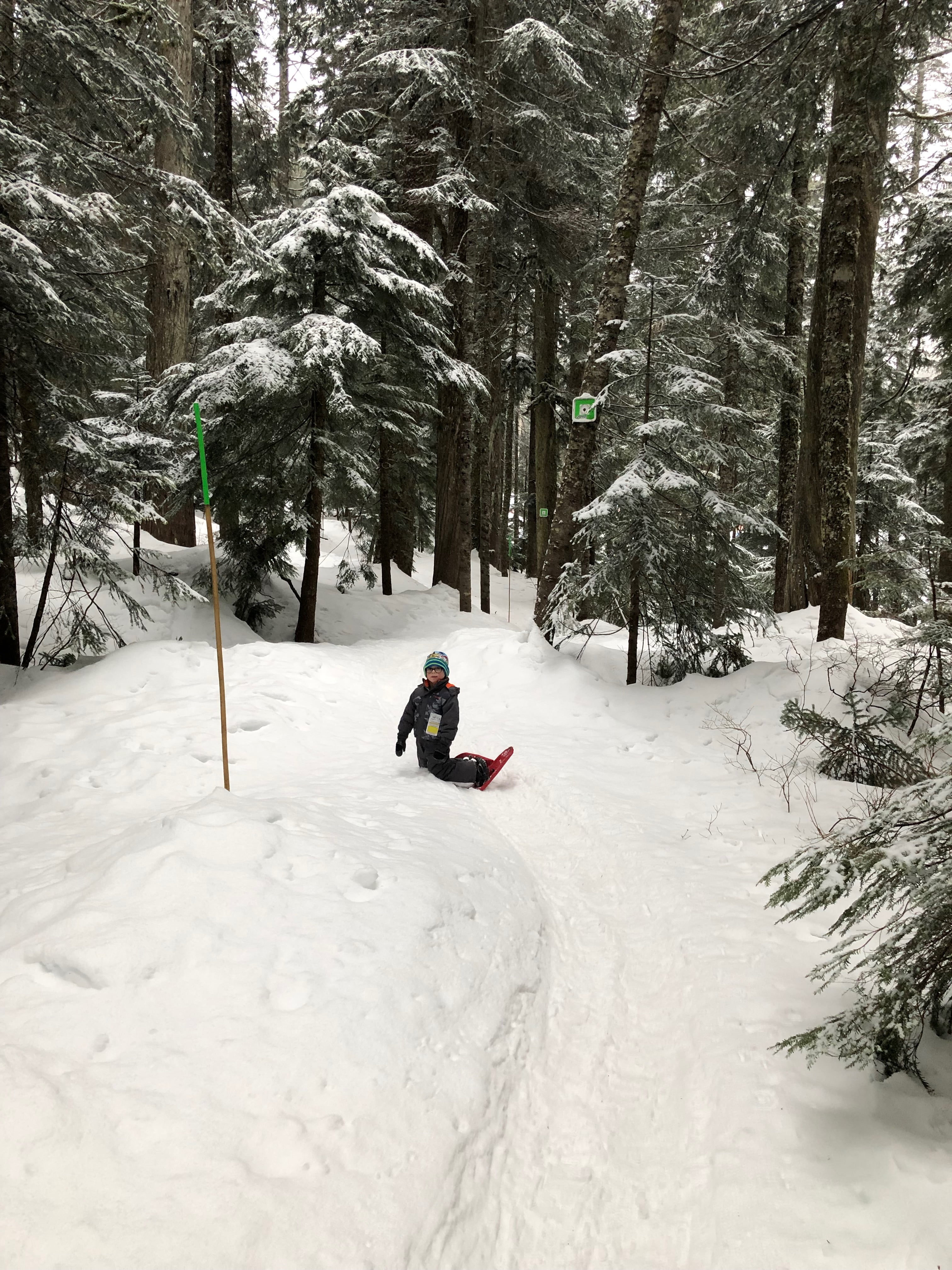 Snowshoes, Snacks and Endless Questions Anya Wyers Author