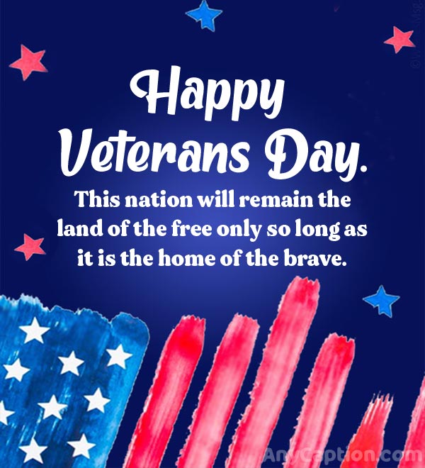 100+ Veterans Day Captions To Show Your Pride & Gratitude