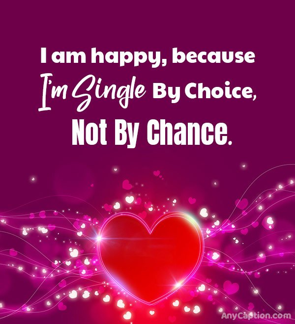 90+ Valentines Day Captions for Singles AnyCaption