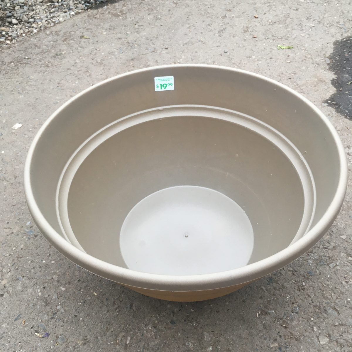 Patio Pond Bowl Pond & Water Plants › Anything Grows