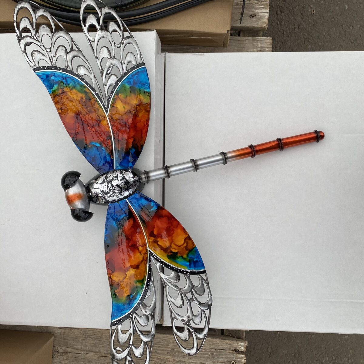 Rainbow Dragonfly Wall Art › Anything Grows