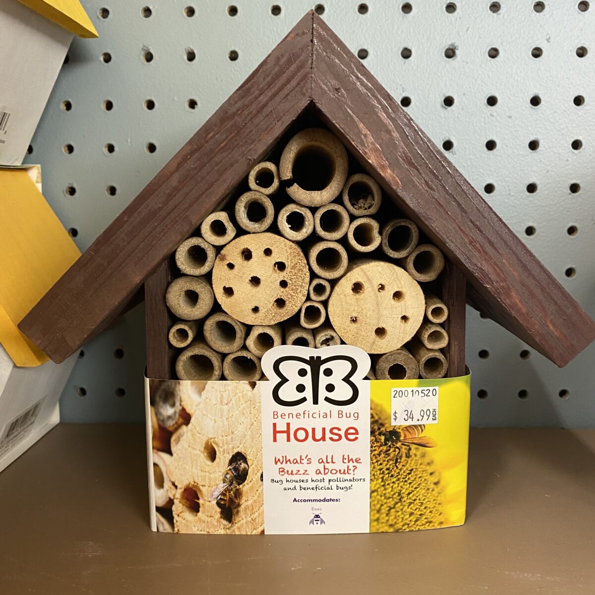 Beneficial Bug House › Anything Grows