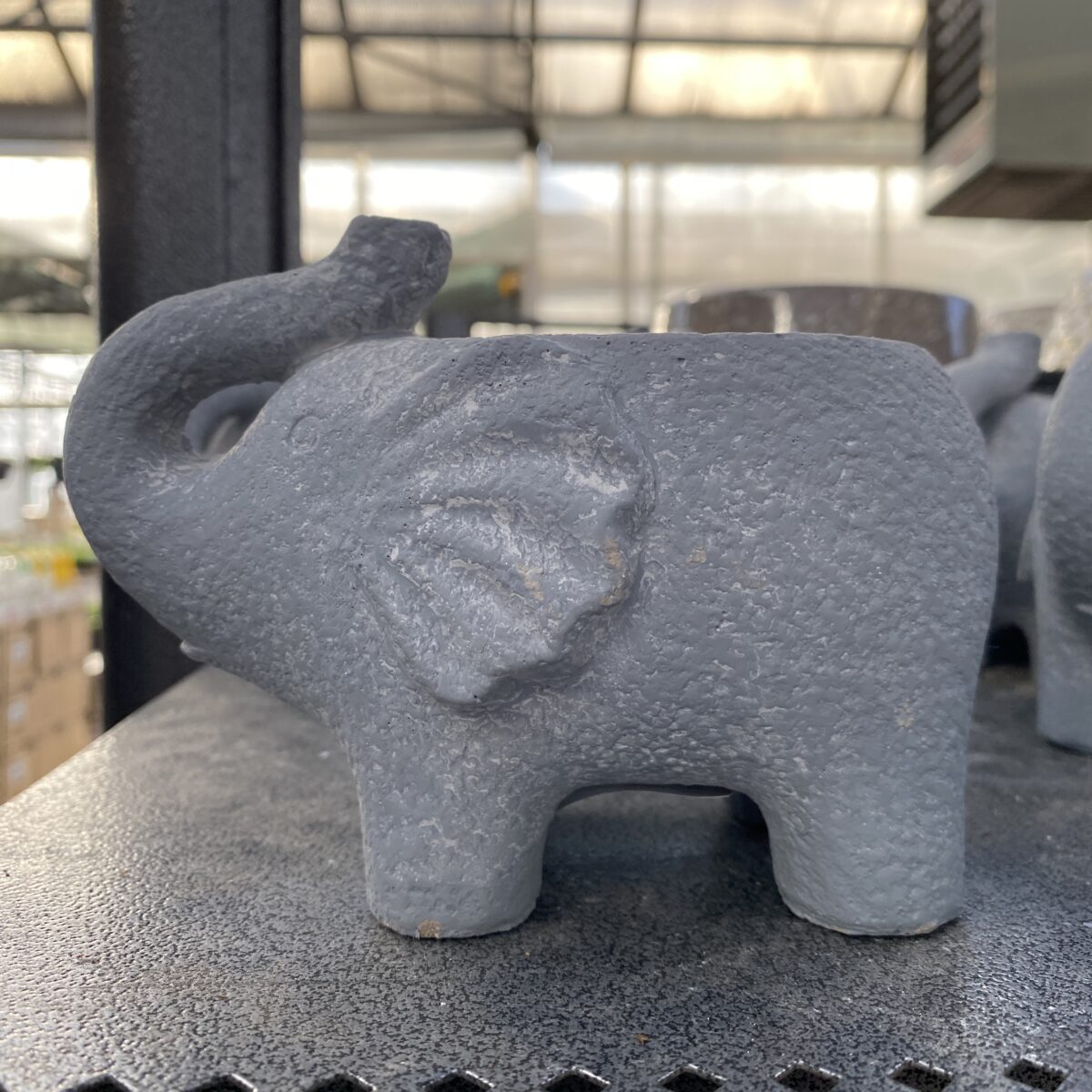 Elephant MiniPot (Painted Cement) › Anything Grows