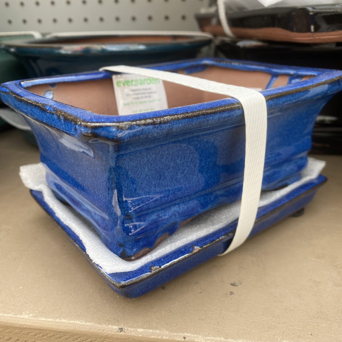 Bonsai Pot Small › Anything Grows