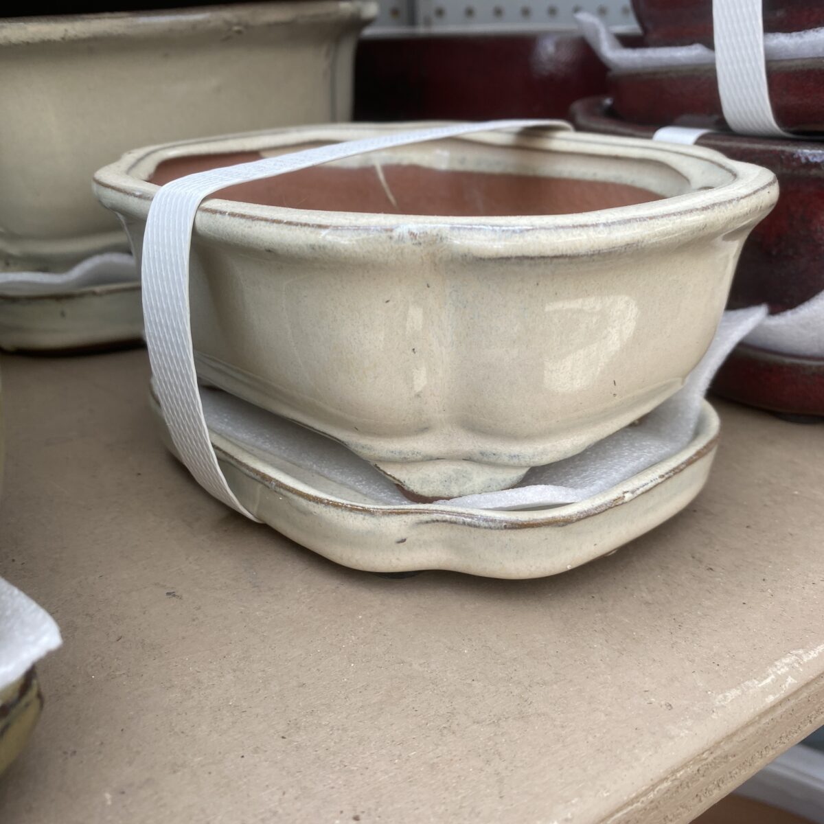 Bonsai Pot Small › Anything Grows