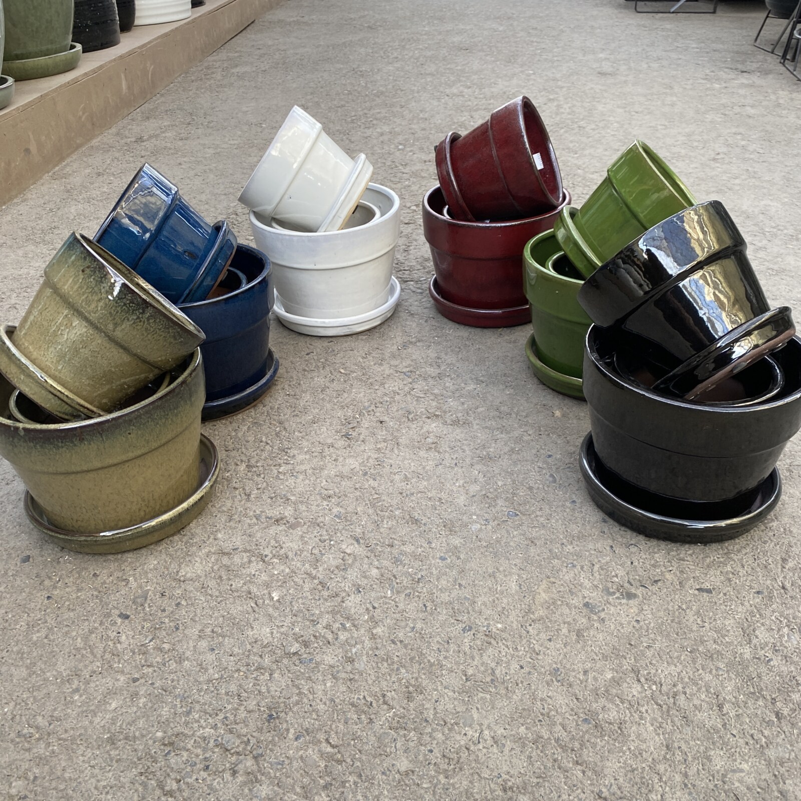 Ceramic Colourful Rimmed Pots › Anything Grows