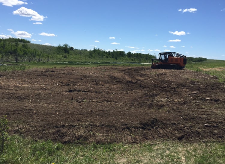 Anytime Bush Mulching Professional Bush Mulching Alberta