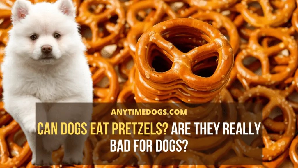 Can Dogs Eat Pretzels? Are They Really Bad For Dogs? AnyTimeDogs
