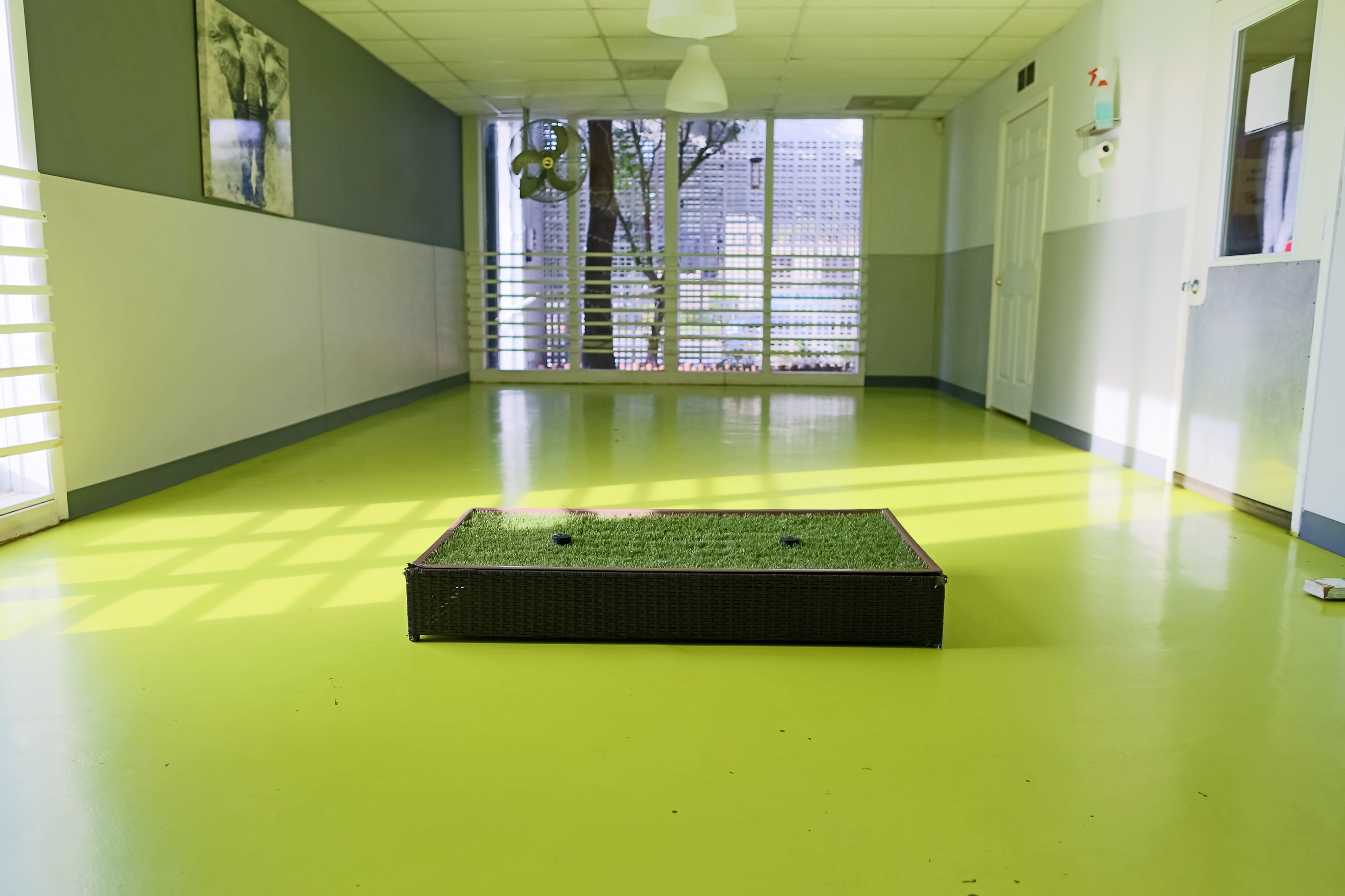 Gallery Korob Dog Hotel in Houston, TX