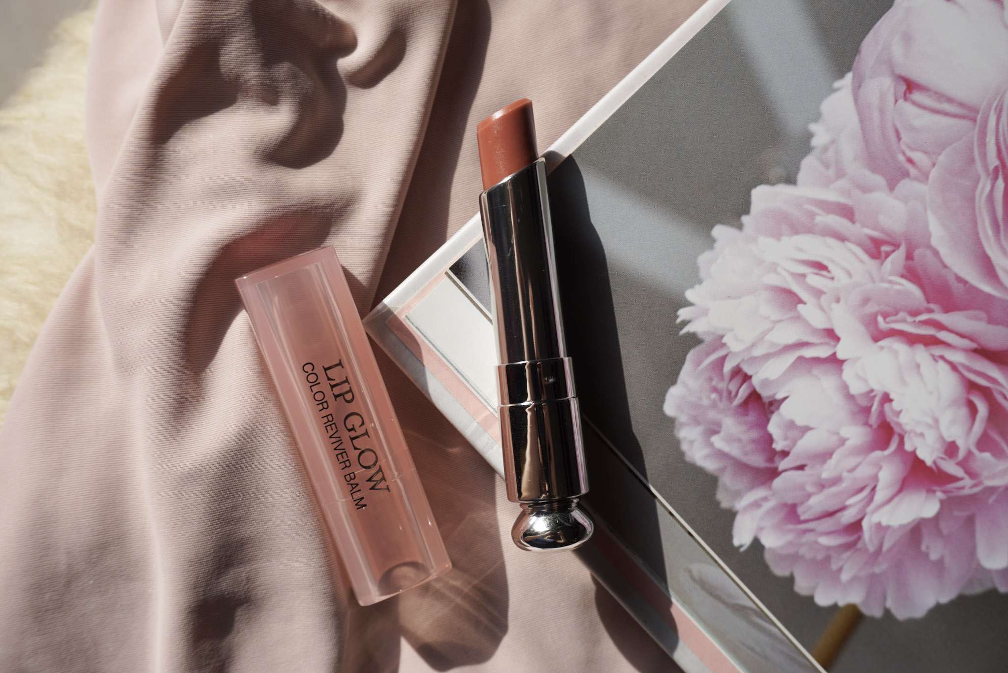 Lip Balm Dior Resenha da Cor 012 Rosewood Any tips