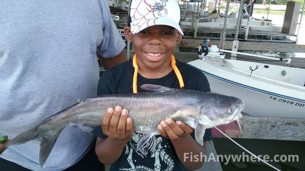 Orton Pond Fishing Charters & Guides FishAnywhere