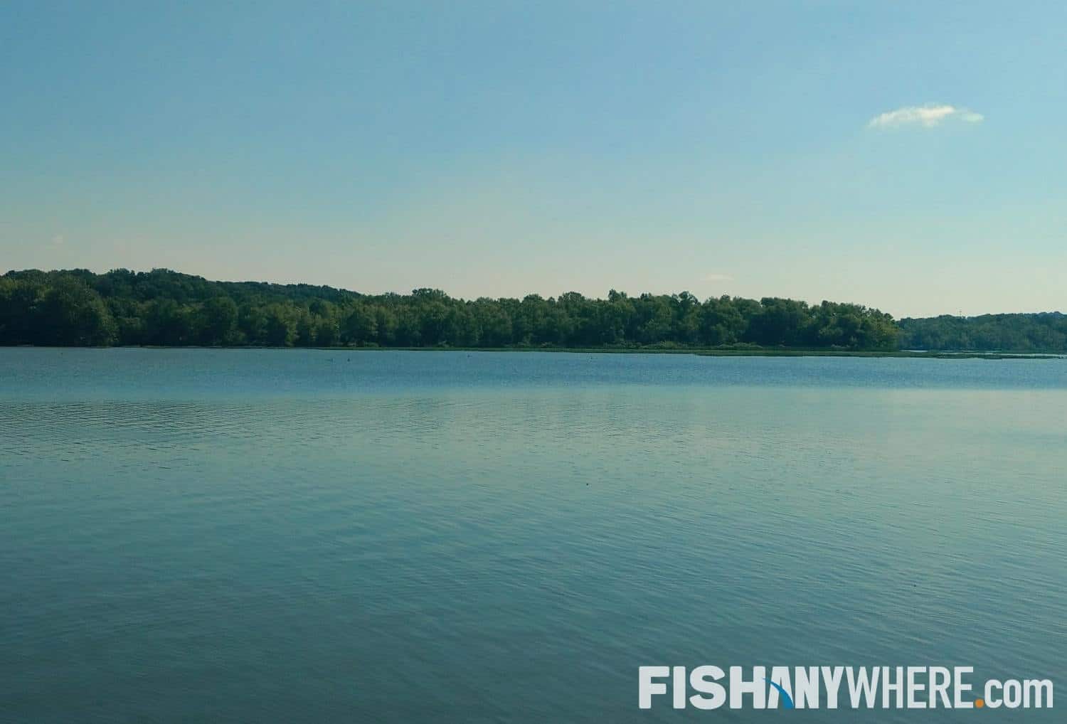 Lake Springfield Fishing Charters & Guides FishAnywhere