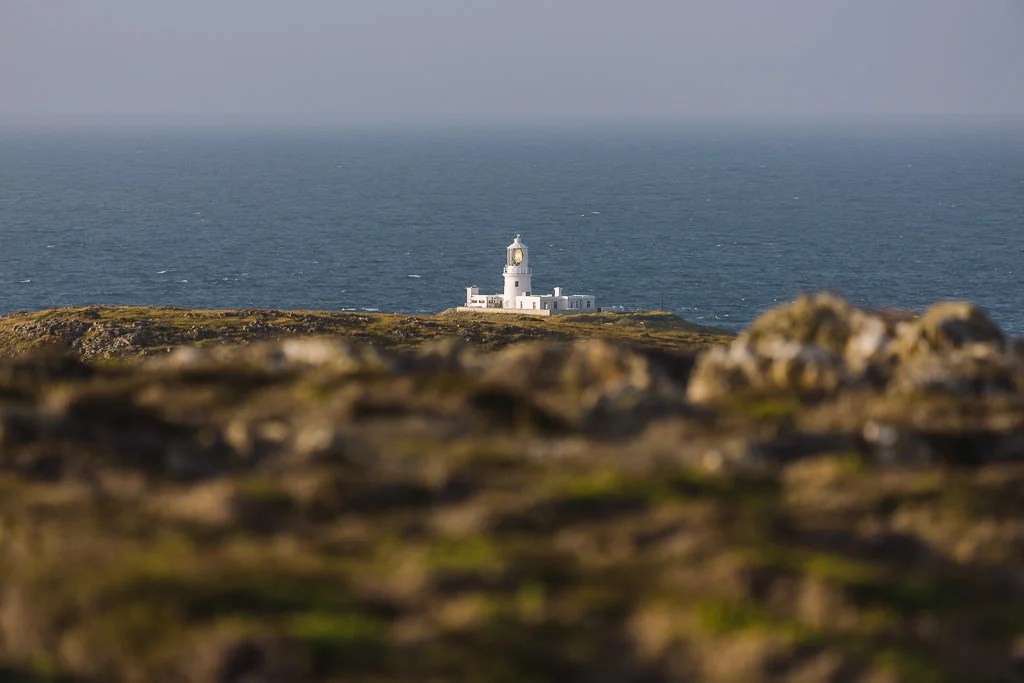 7 Best Circular Walks On The Pembrokeshire Coast Path