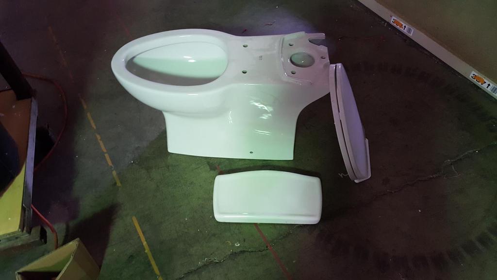 Auction Ohio Delta Toilets Riosa 2pcCRACK