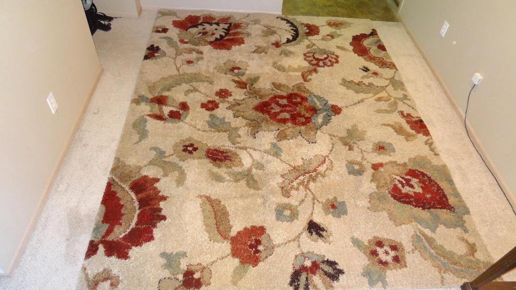 Auction Ohio Area Rug