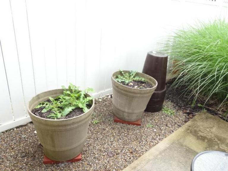 Auction Ohio Planters