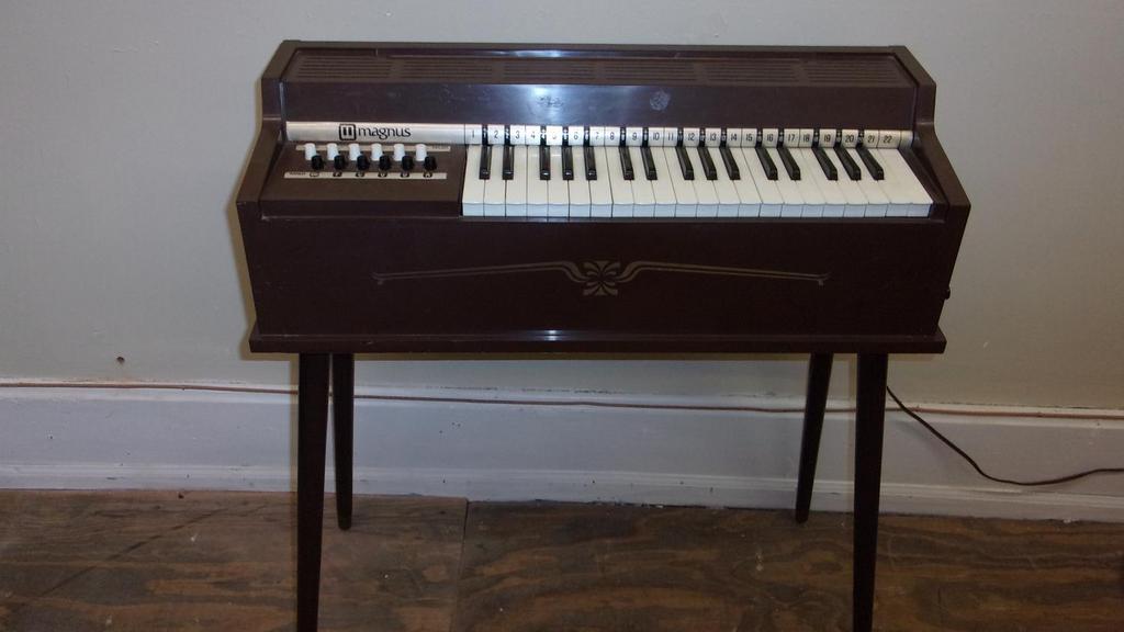 Auction Ohio Magnus Organ